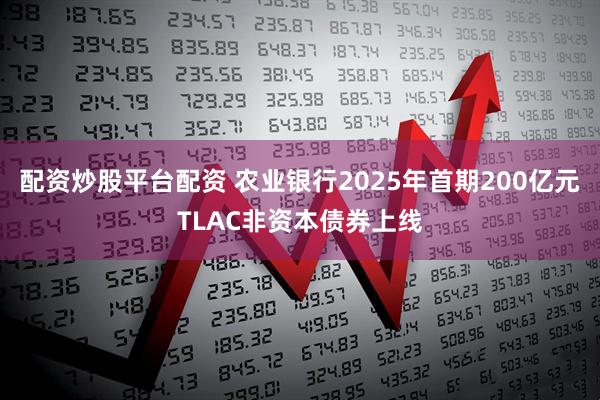 配资炒股平台配资 农业银行2025年首期200亿元TLAC非资本债券上线
