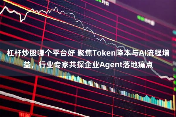 杠杆炒股哪个平台好 聚焦Token降本与AI流程增益，行业专家共探企业Agent落地痛点